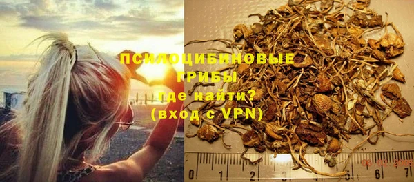 кокс Баксан