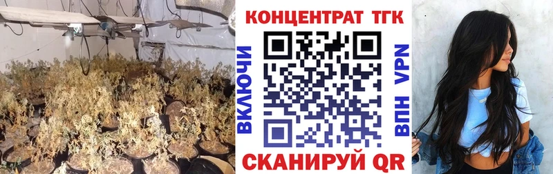 Купить закладки  Боровск  ТГК Wax 