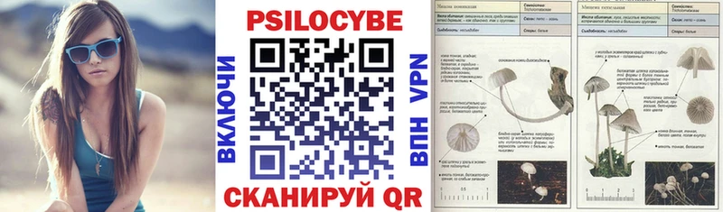Псилоцибиновые грибы Cubensis  Купить где  Боровск 